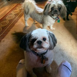 Meet your Posher, Sharon